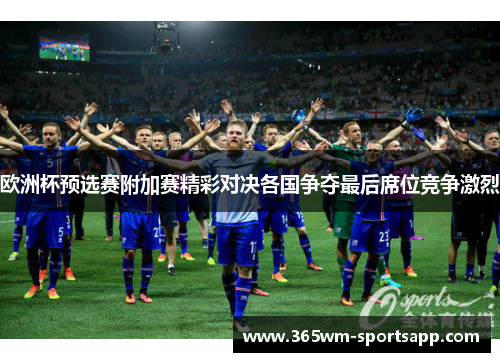 欧洲杯预选赛附加赛精彩对决各国争夺最后席位竞争激烈
