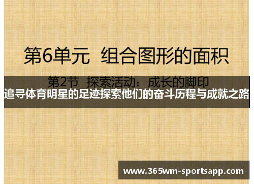 追寻体育明星的足迹探索他们的奋斗历程与成就之路